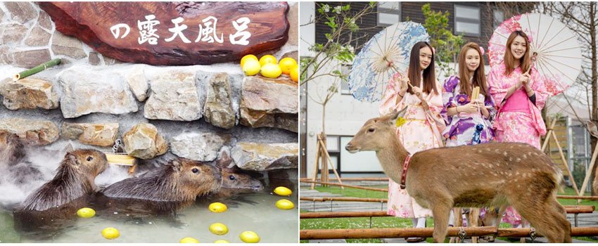 張美阿嬤農場